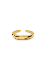 signe ring-6-monateo