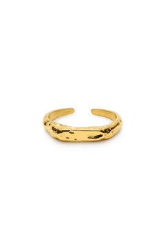 signe ring-6-monateo