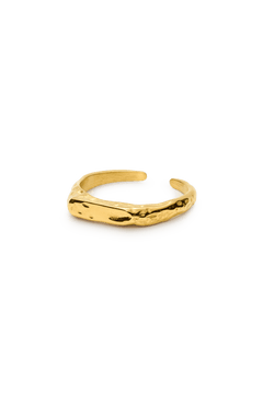 signe ring-8-monateo