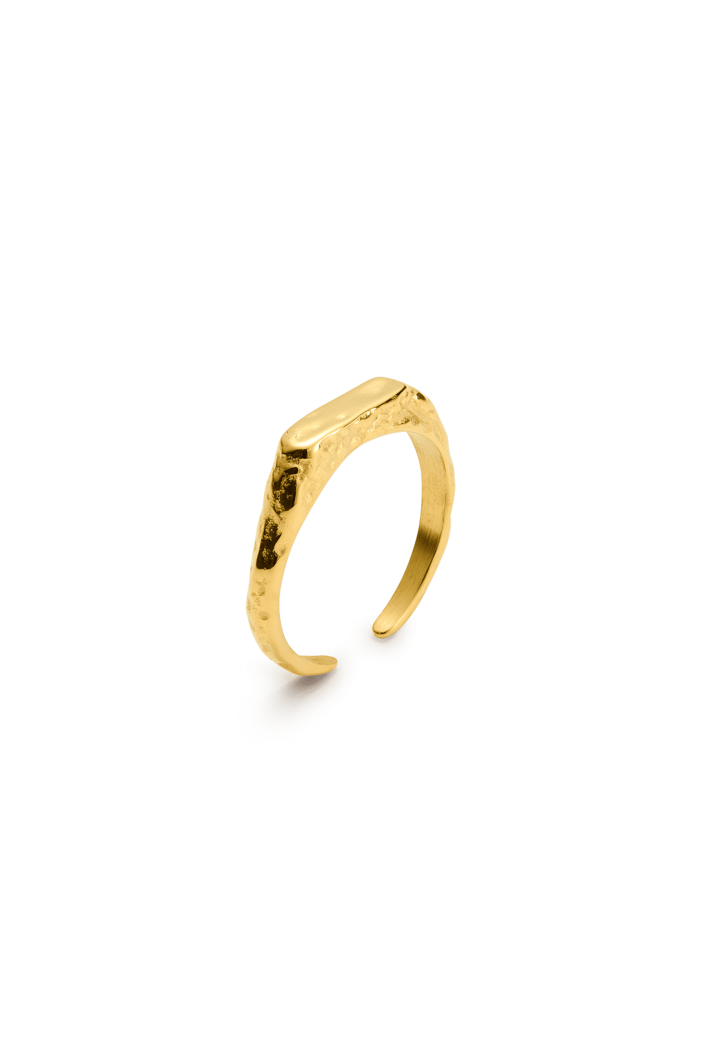 signe ring-10-monateo