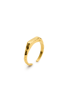 signe ring-10-monateo