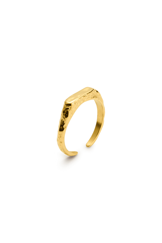 signe ring-10-monateo