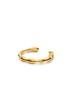 goutte ring-8-monateo