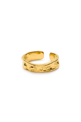 authentique ring-8-monateo