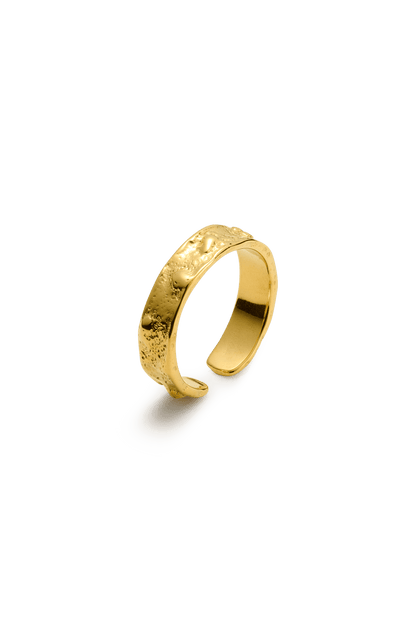 authentique ring-10-monateo