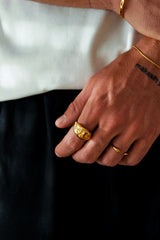 cognee ring-8-monateo